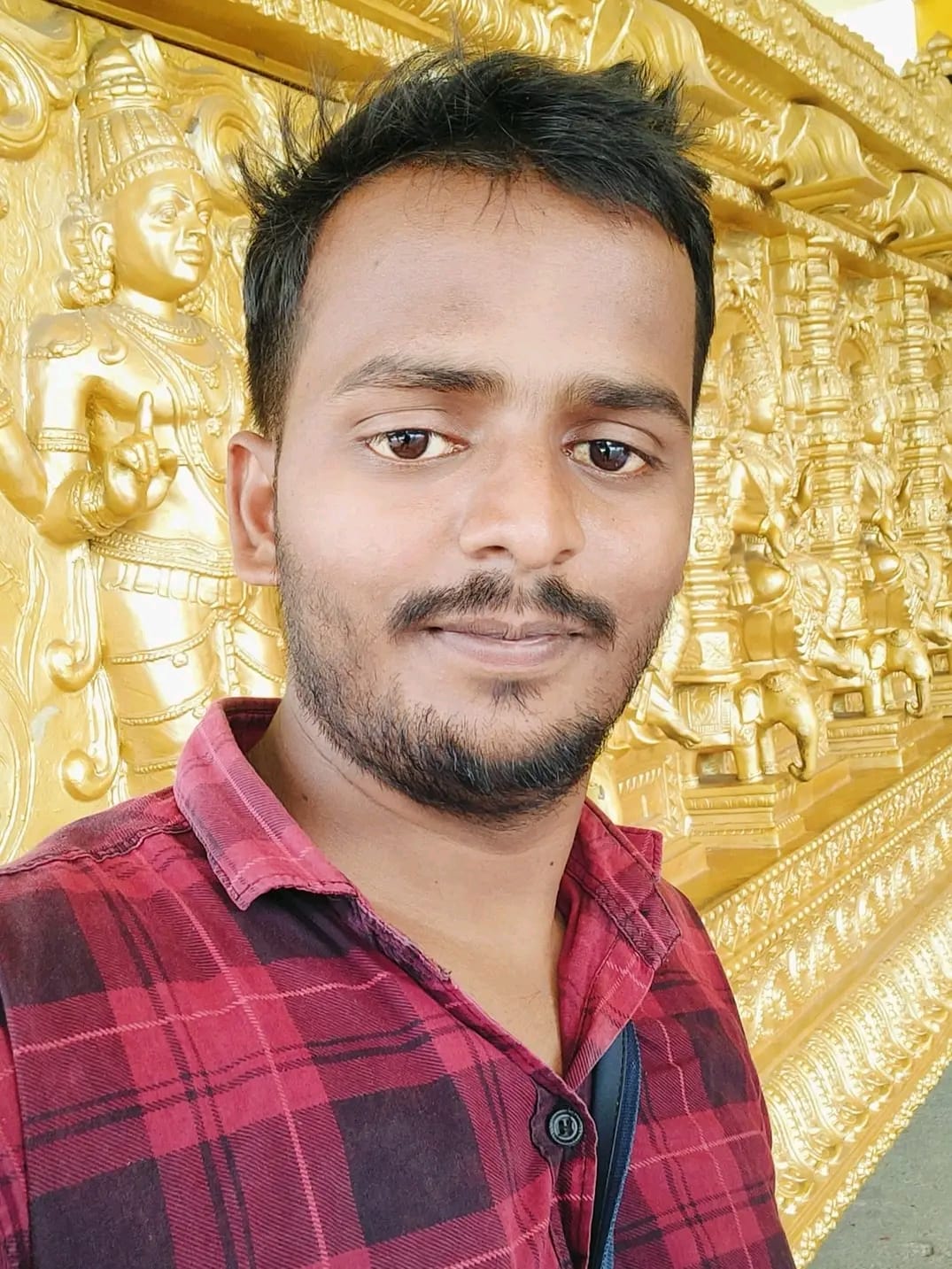 Vikash Mehta